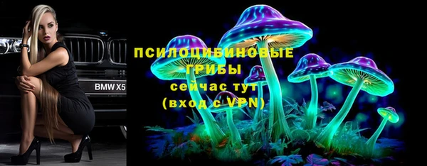mdpv Арсеньев