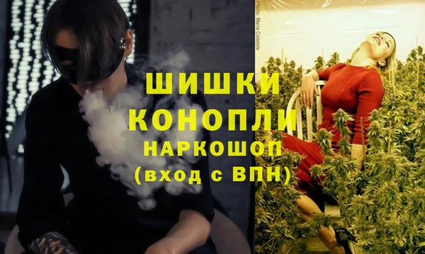 ПСИЛОЦИБИНОВЫЕ ГРИБЫ Армянск