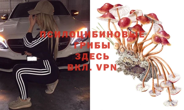 mdpv Арсеньев
