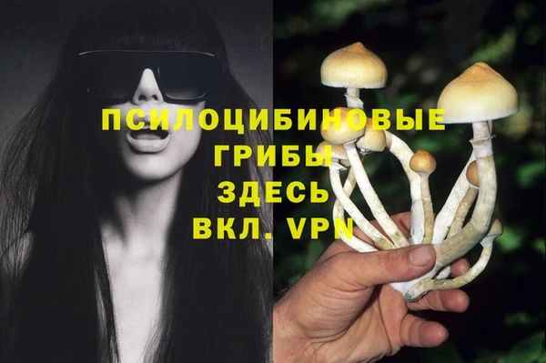 ПСИЛОЦИБИНОВЫЕ ГРИБЫ Армянск
