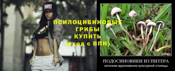 ПСИЛОЦИБИНОВЫЕ ГРИБЫ Армянск