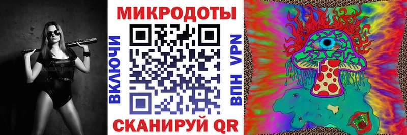 продажа наркотиков  Славгород  Галлюциногенные грибы мухоморы 